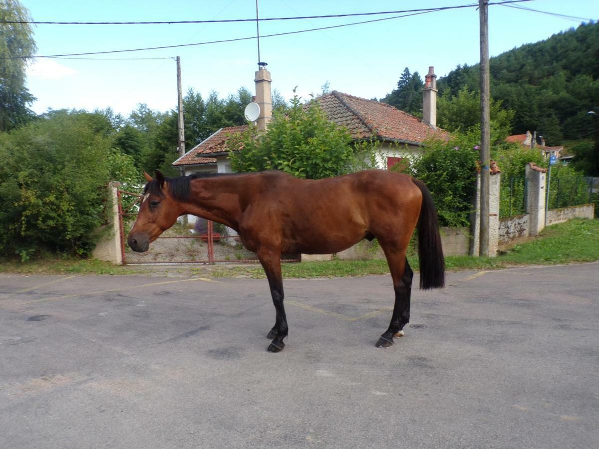Gite La Méluzine Magny  Esterno foto