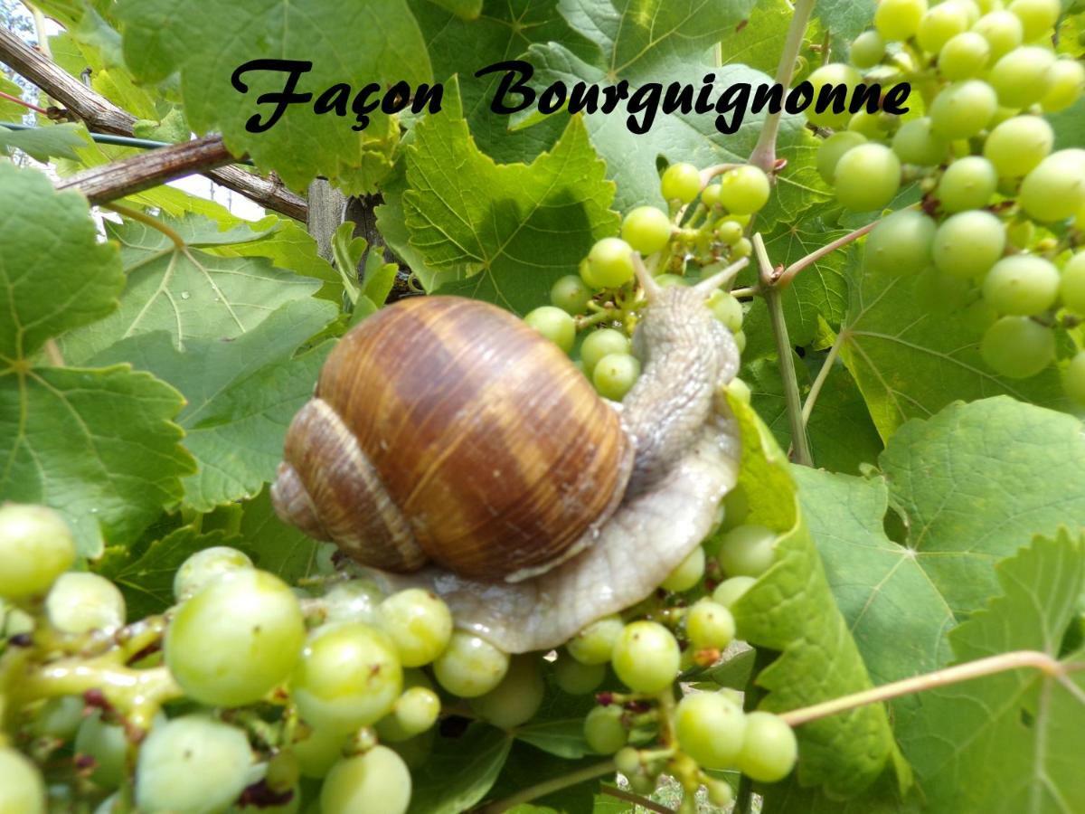 Gite La Méluzine Magny  Esterno foto